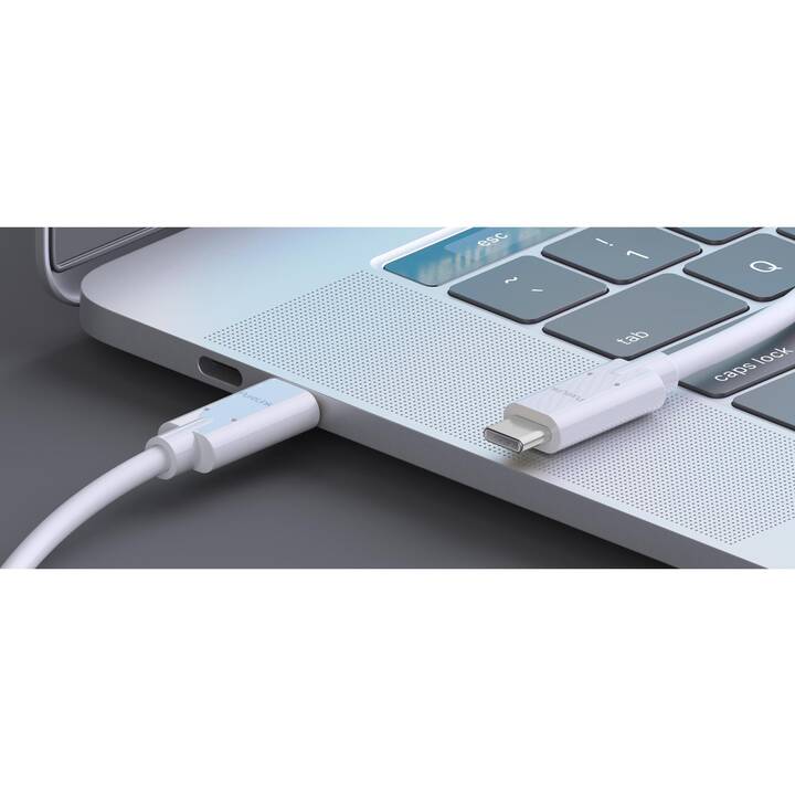 PURELINK Cavo USB (USB 3.1 di tipo C, 1 m)