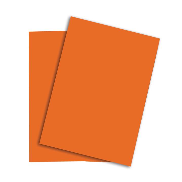 PAPYRUS Rainbow Papier couleur (250 feuille, A3, 160 g/m2)