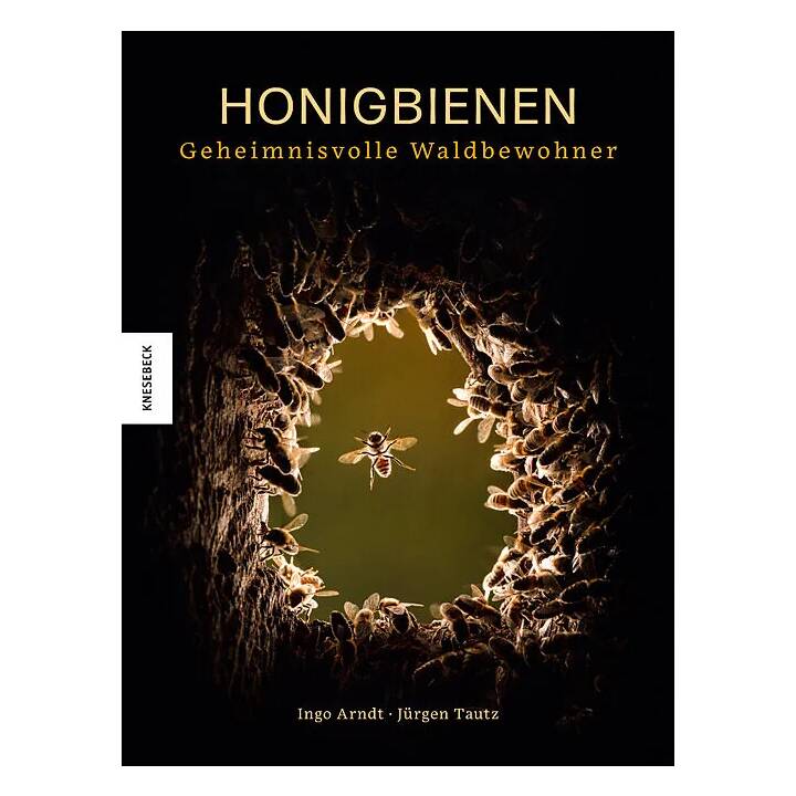 Honigbienen - geheimnisvolle Waldbewohner