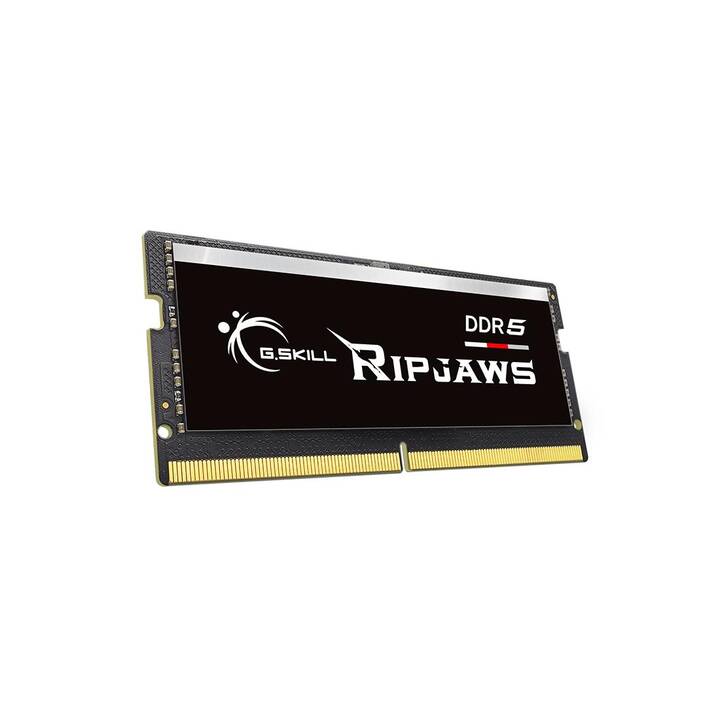 G.SKILL Ripjaws F5-5600S4645A16GX1-RS (1 x 16 GB, DDR5 5600 MHz, SO-DIMM 262-Pin)