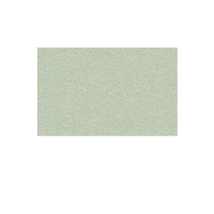 URSUS Cartone 86 (Piccioni grigi, A4, 100 pezzo)