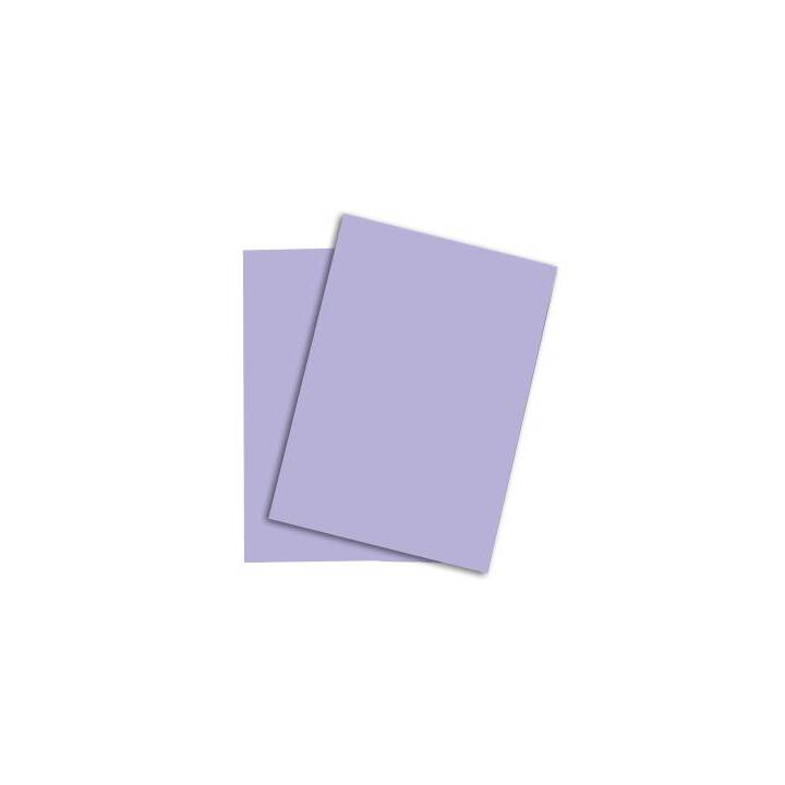 PAPYRUS Rainbow Farbiges Papier (250 Blatt, A3, 120 g/m2)