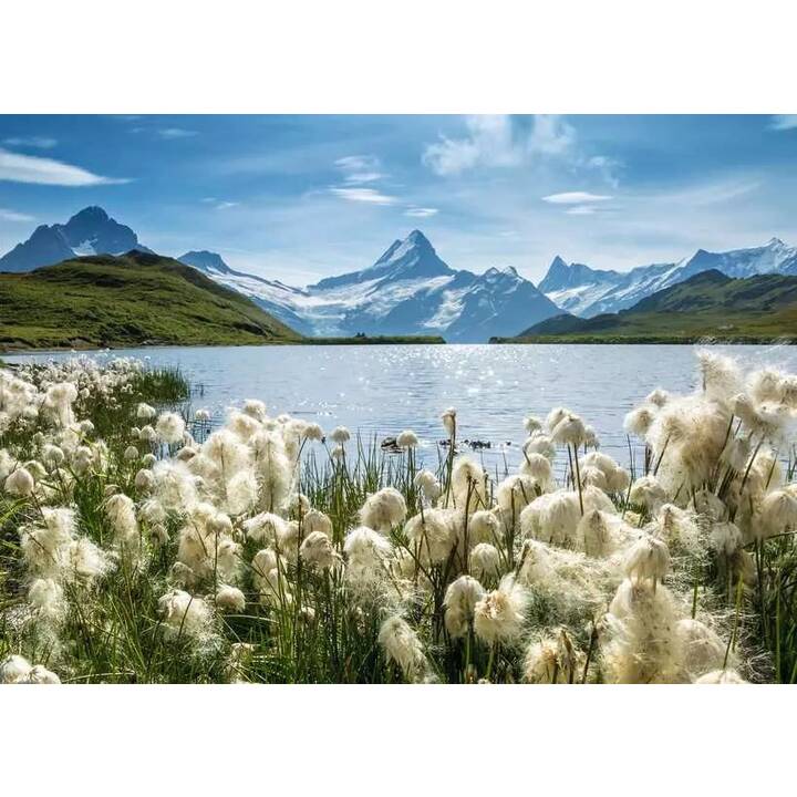 RAVENSBURGER Landschaft Puzzle (1000 Teile)