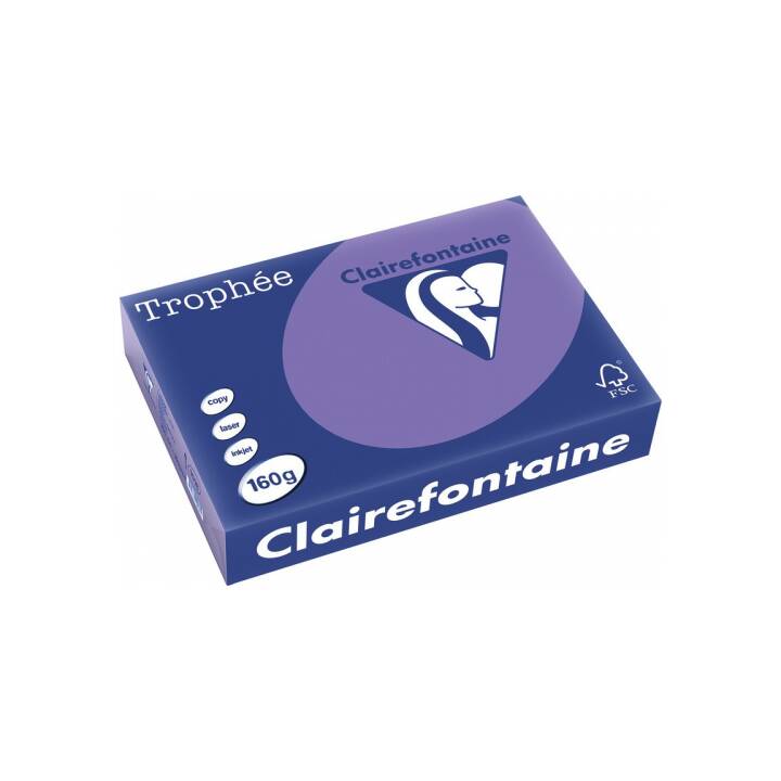 CLAIREFONTAINE Trophée Papier couleur (250 feuille, A4, 160 g/m2)