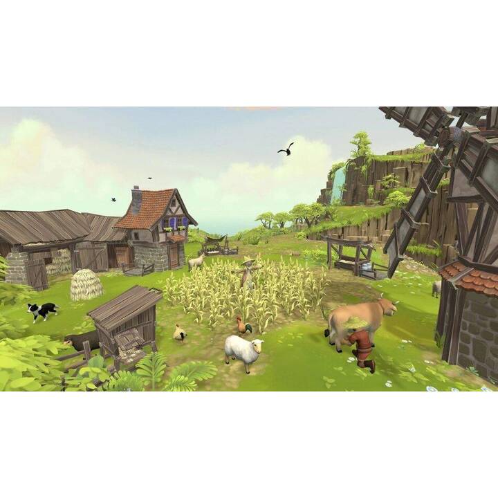 Townsmen VR (DE)