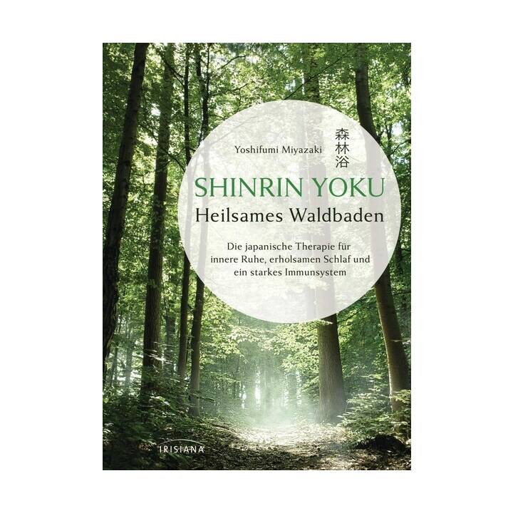 Shinrin Yoku - Heilsames Waldbaden