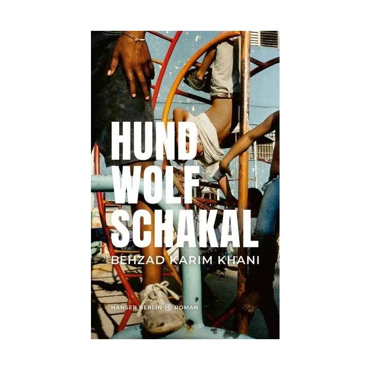 Hund, Wolf, Schakal