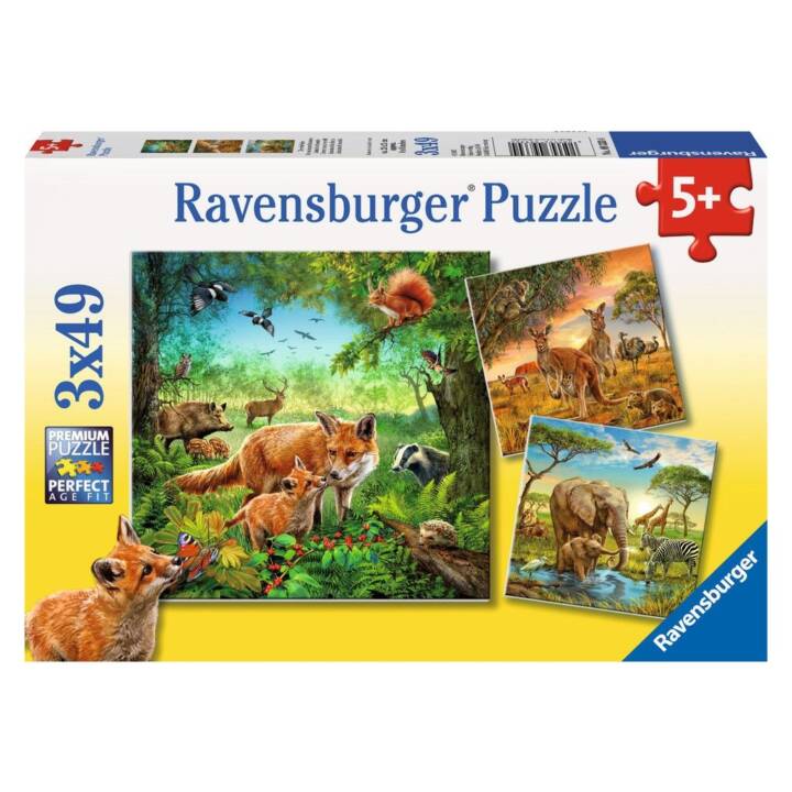 RAVENSBURGER Animali Puzzle 3D (3 x 147 x, 49 x)