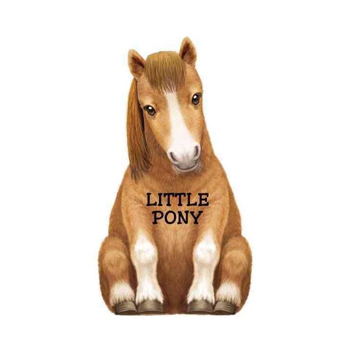 Little Pony