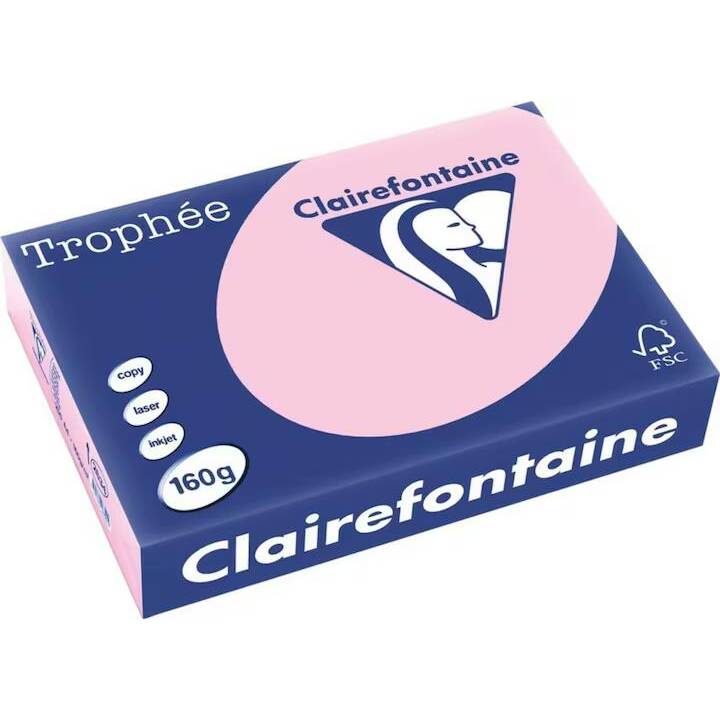 CLAIREFONTAINE Carta per copia (250 x 250 foglio, A4, 160 g/m2)