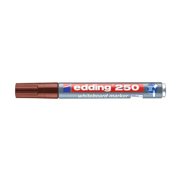 EDDING Whiteboard Marker 250 (Braun, 1 Stück)