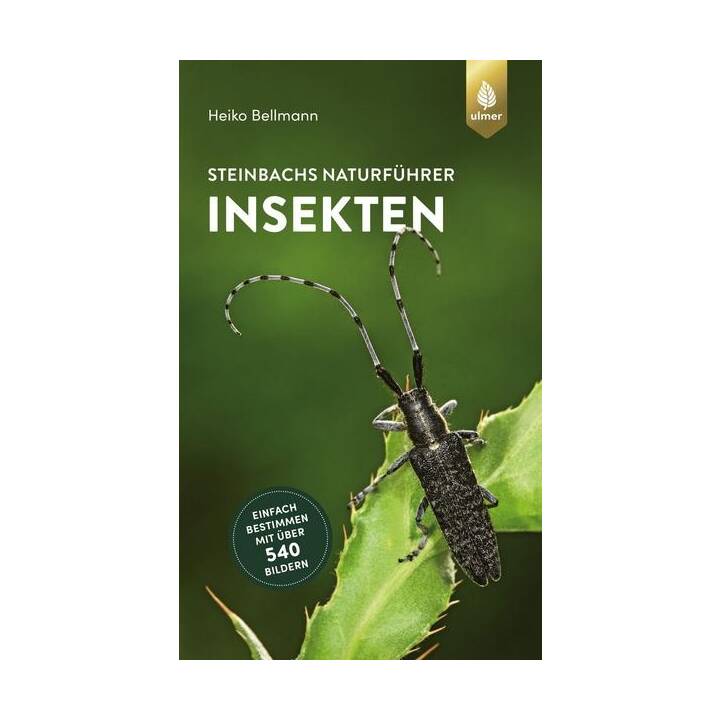 Steinbachs Naturführer Insekten