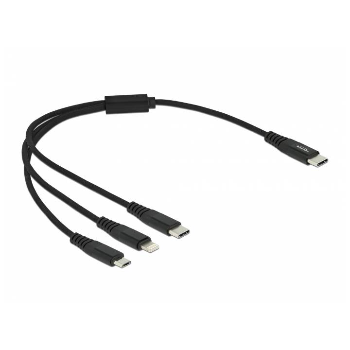 DELOCK Cavo USB (USB 2.0 di tipo C, Micro USB, USB di tipo C, Lightning, 30 cm)