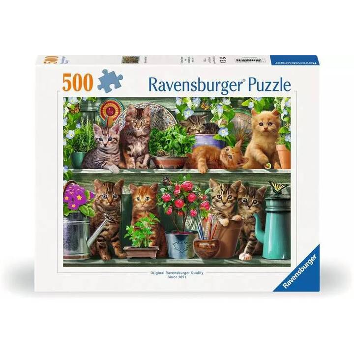RAVENSBURGER Katzen im Regal Puzzle (500 Parts)
