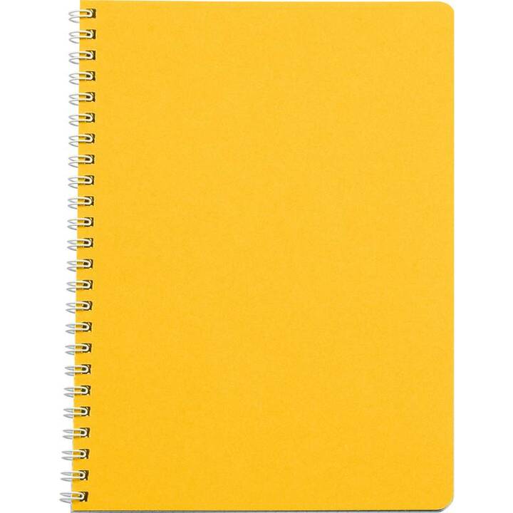 BIELLA Carnets TopColor (A4, Carreaux)