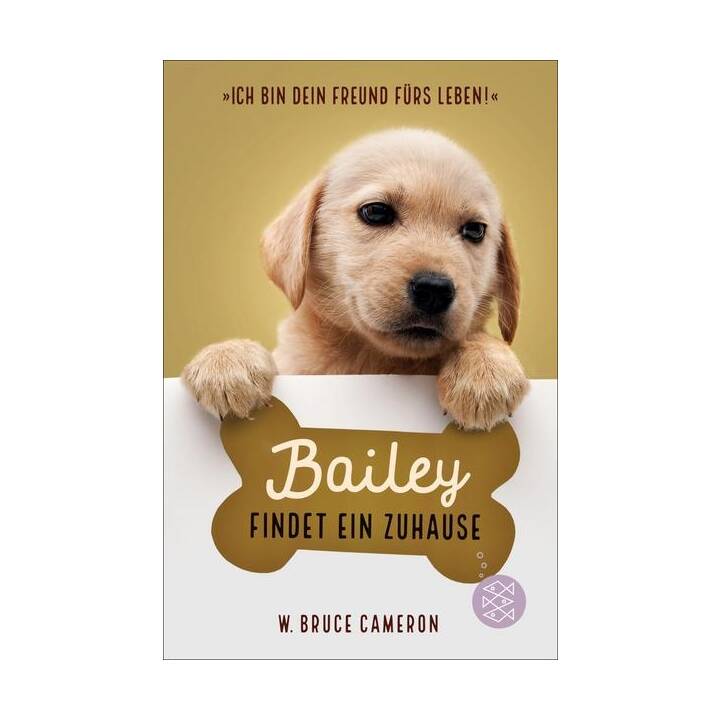 Bailey findet ein Zuhause