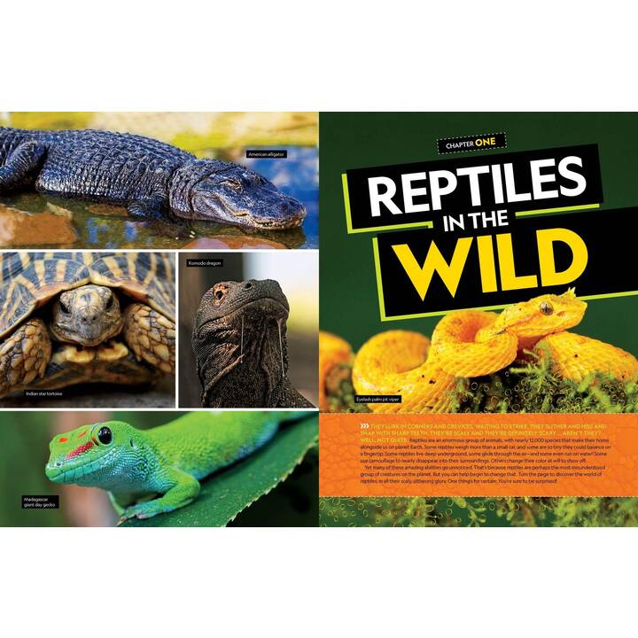 Das ultimative Buch der Reptilien