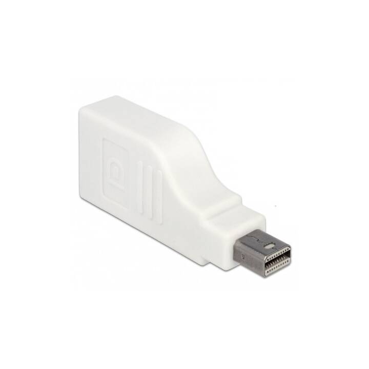 DELOCK Adapter (DisplayPort Mini, DisplayPort)