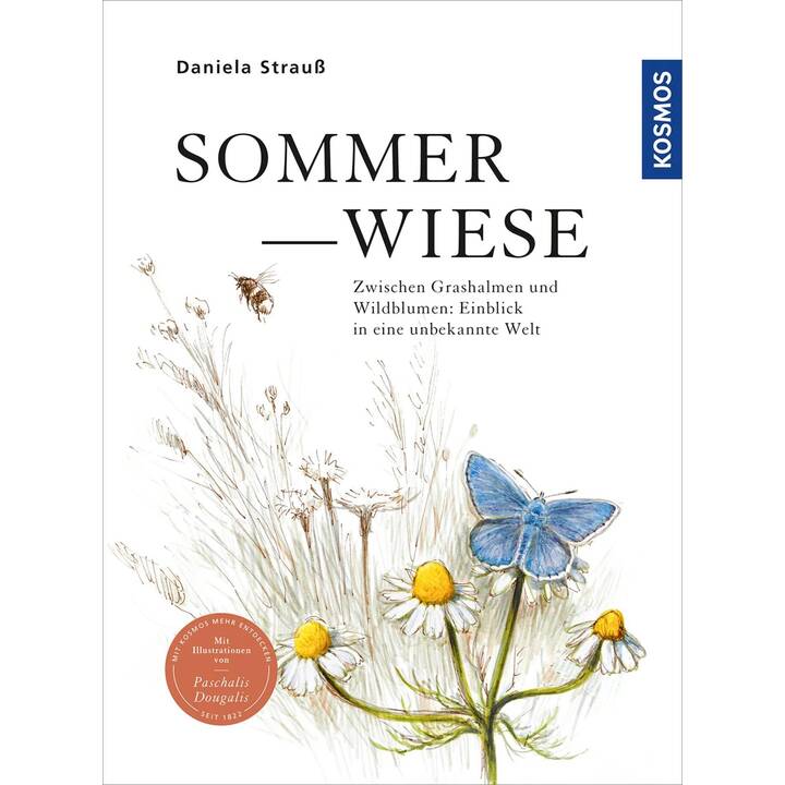 Sommerwiese