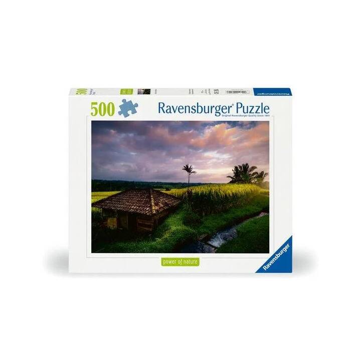 RAVENSBURGER Reisfelder im Norden von Bali Puzzle (500 pièce)