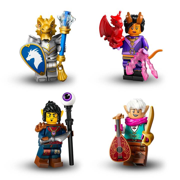 LEGO Minifigures Dungeons & Dragons (71047)