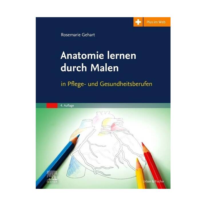 Anatomie lernen durch Malen