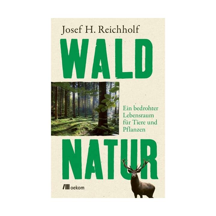 Waldnatur