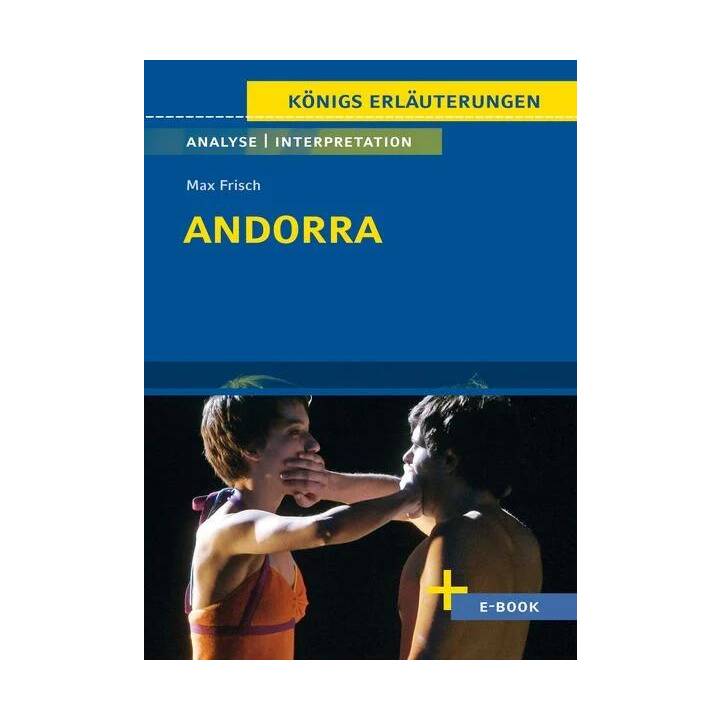 Andorra von Max Frisch - Textanalyse und Interpretation