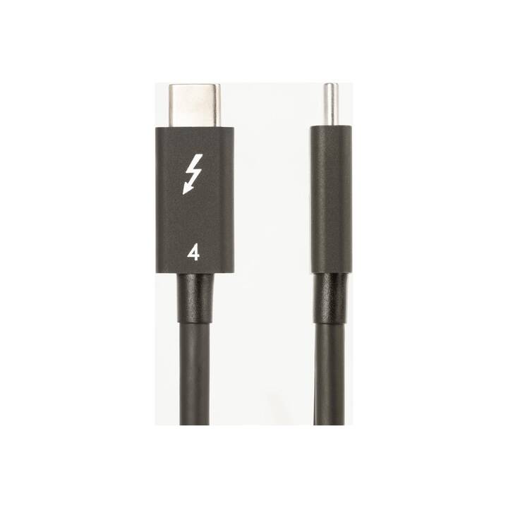 STARTECH.COM Câble USB (Thunderbolt 4, 50 cm)
